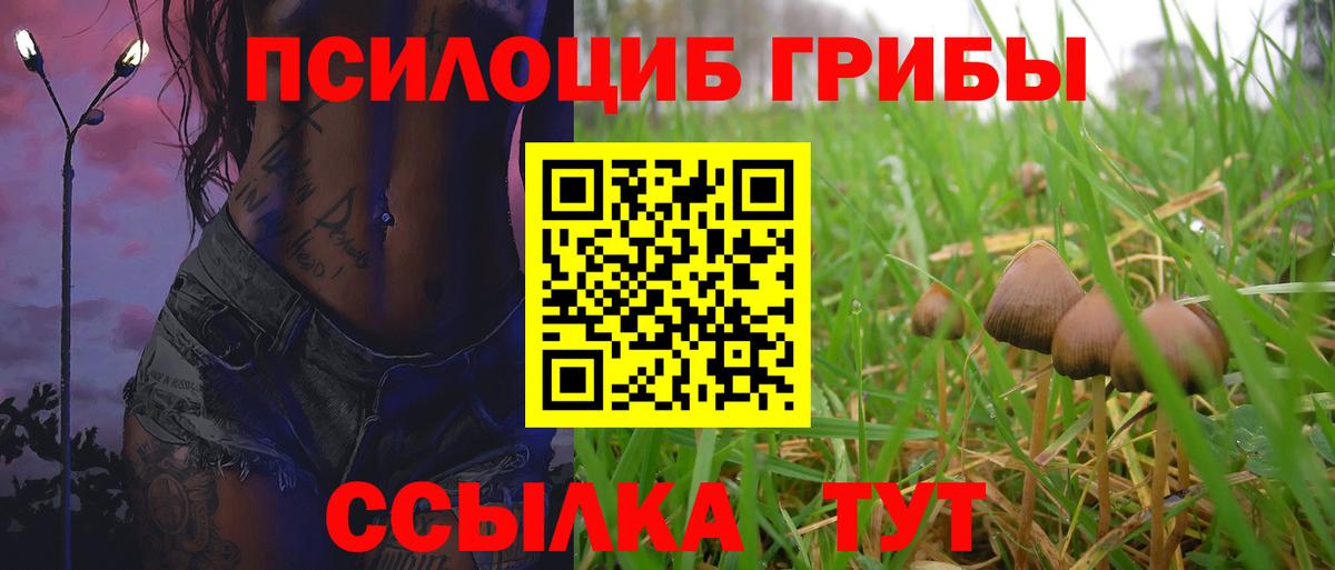 что такое наркотик  Псилоцибиновые грибы Psilocybine cubensis  Вход с VPN  Галлюциногенные грибы Psilocybe  Тимашёвск 
